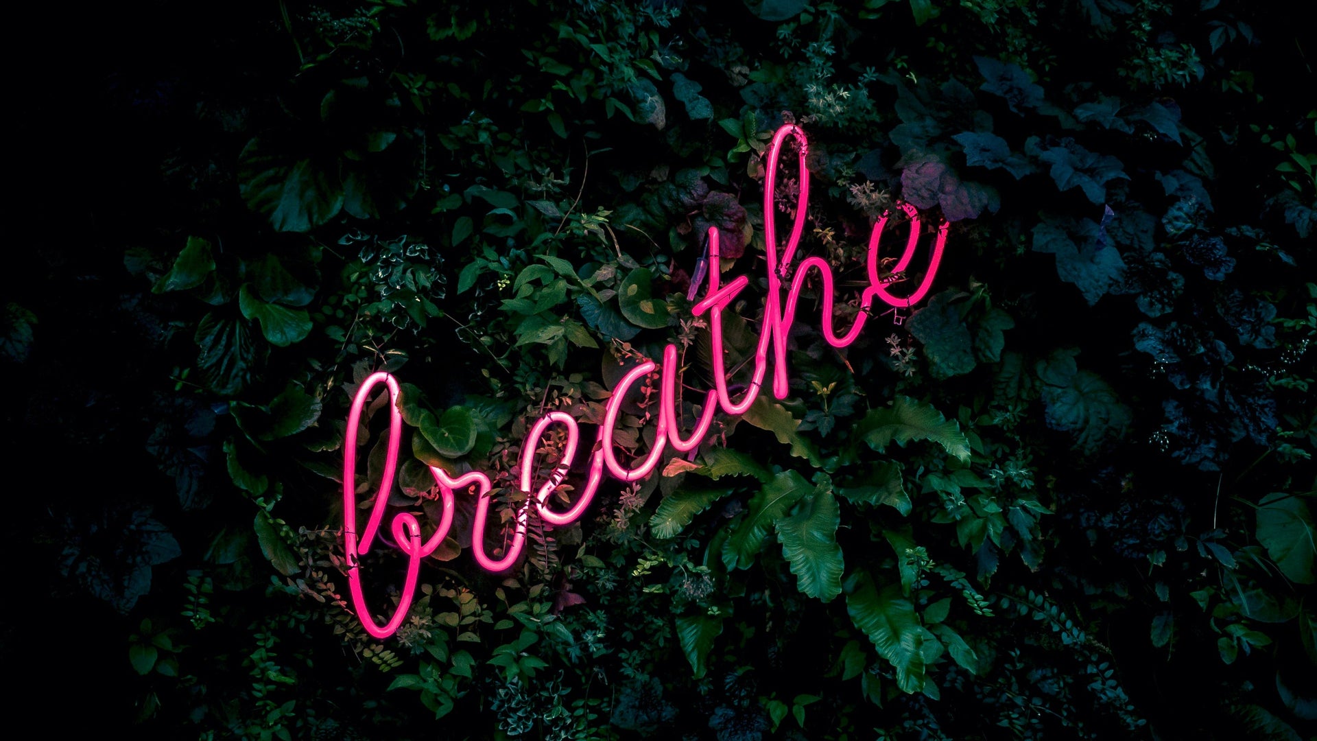 The benefits of coherent breathing