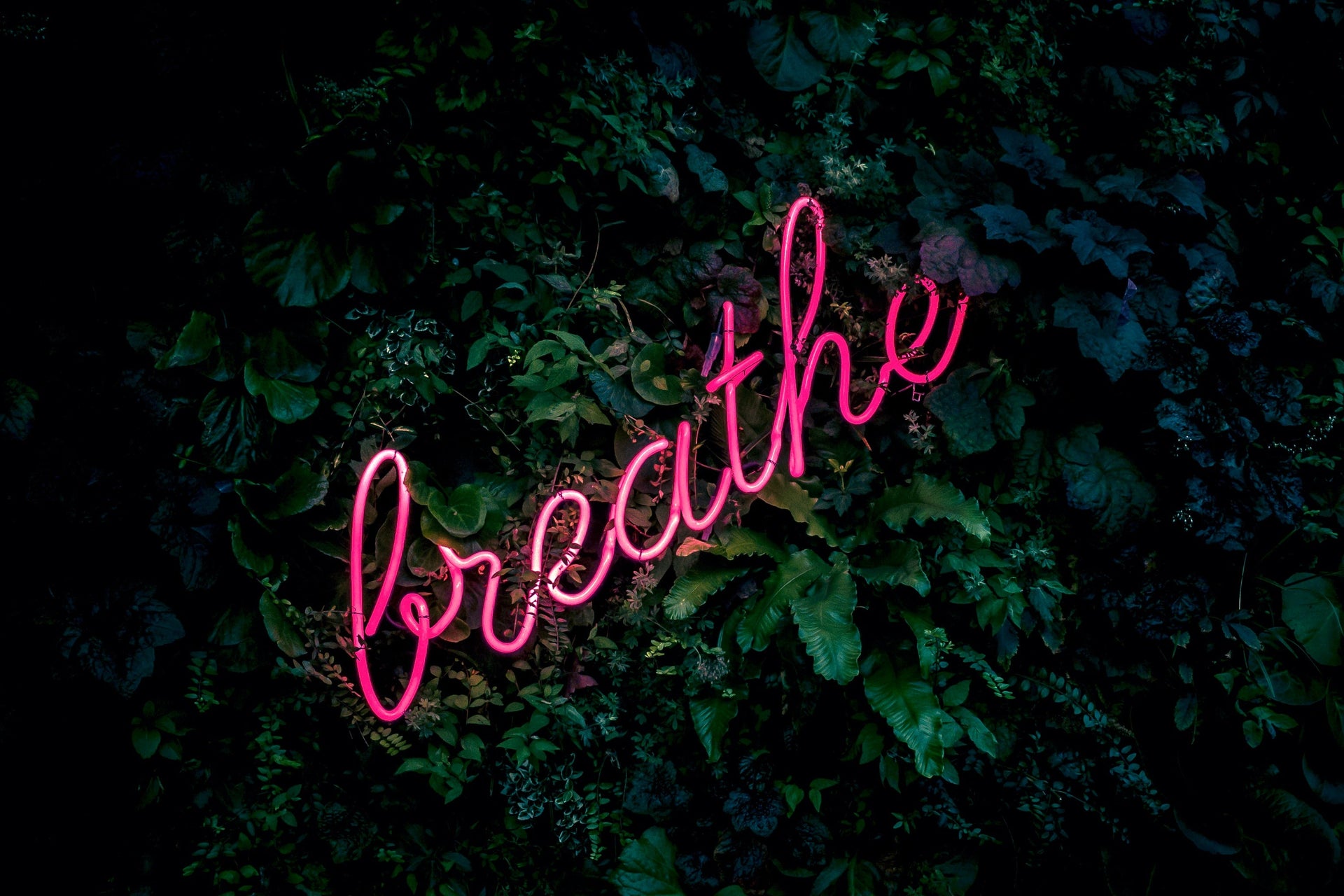 The benefits of coherent breathing